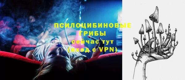 дживик Абинск