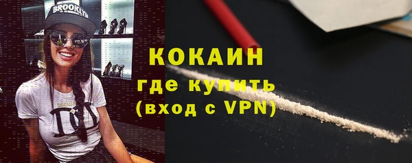 дживик Абинск