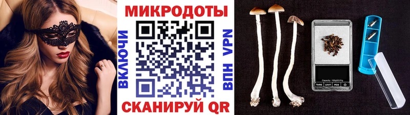 где можно купить наркотик  Сурск  Галлюциногенные грибы Cubensis 
