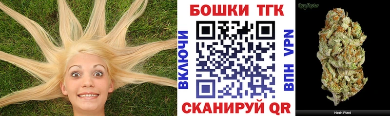 наркота  Сурск  Канабис Amnesia 